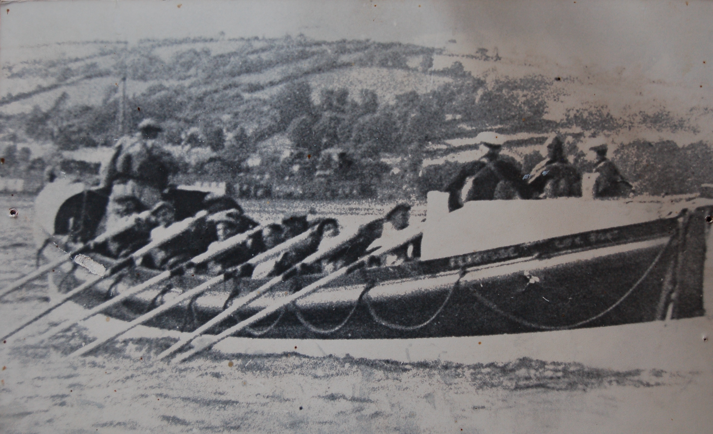 In the Towy Estuary In the Towy Estuary