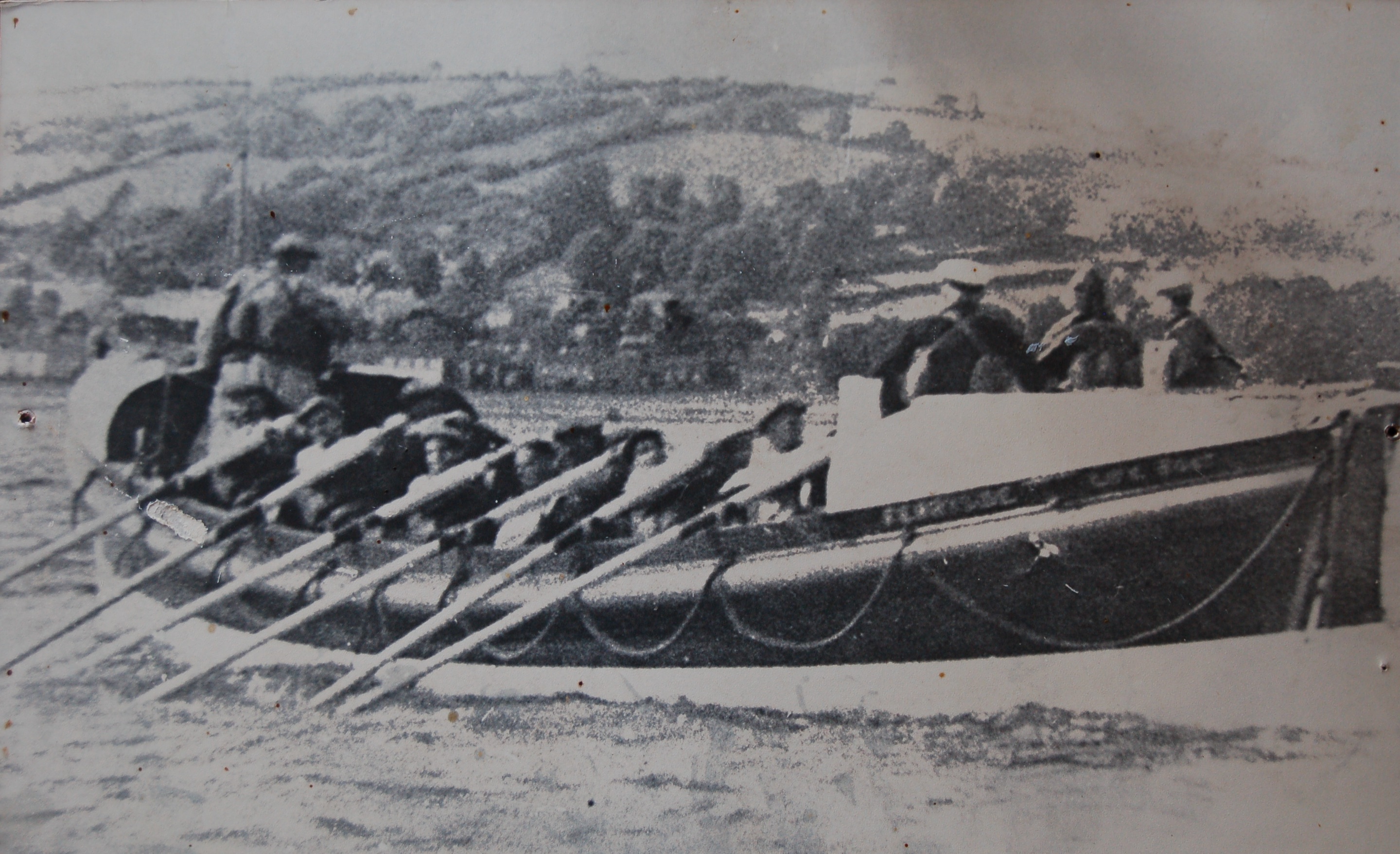 In the Towy Estuary